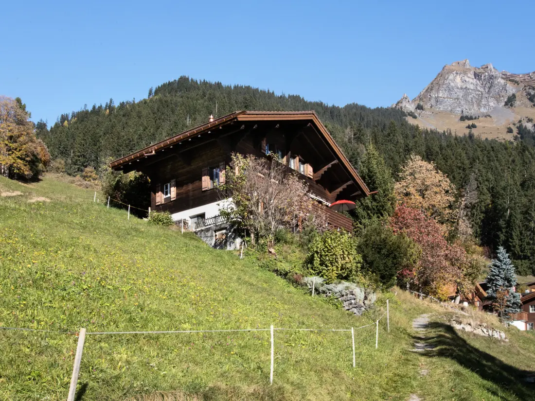 Chalet Wengen