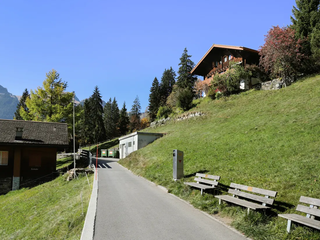 Chalet Wengen