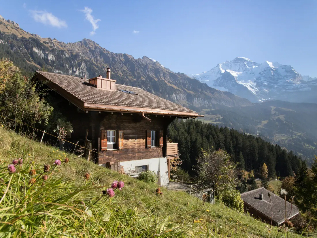 Chalet Wengen