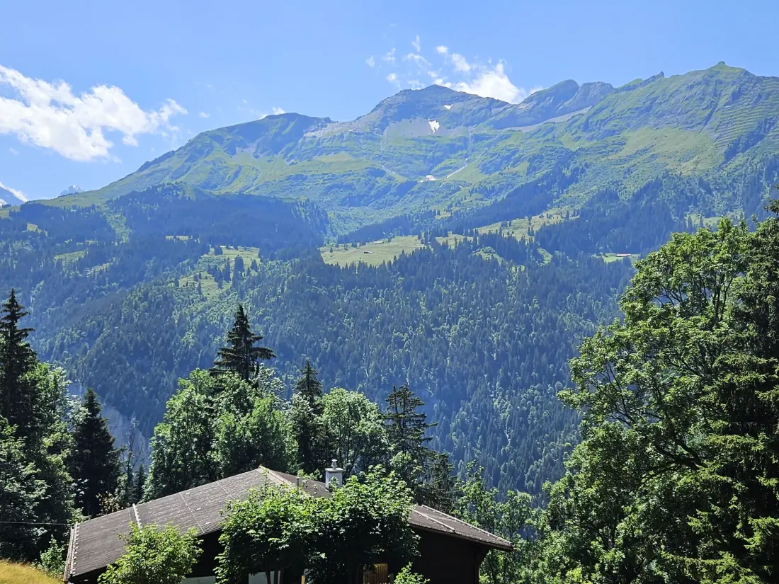 Résidence Panoramapark Soleil Haus D Apt 3