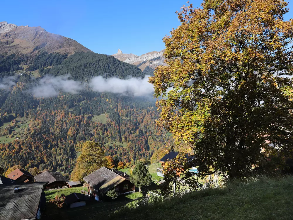 Résidence Primula Apt. B