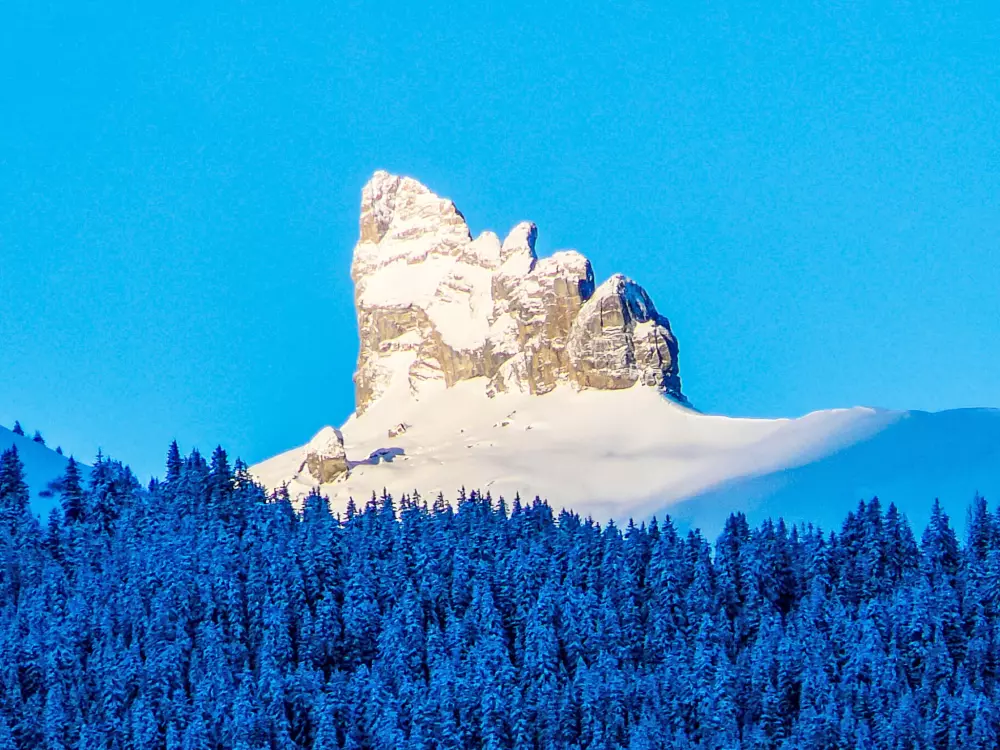 Résidence Rose Studio Y