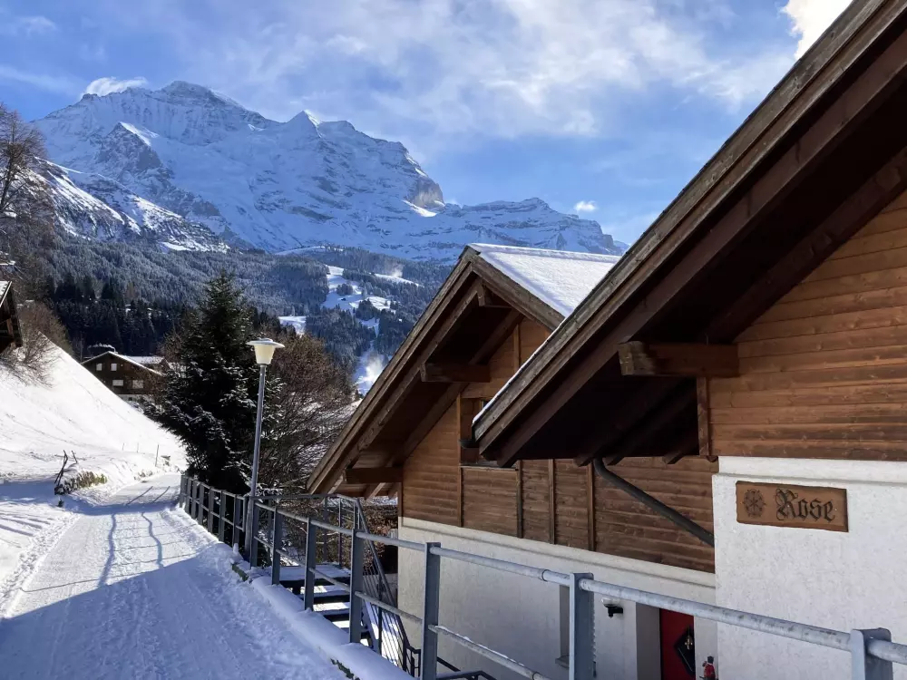 Résidence Rose Studio Y