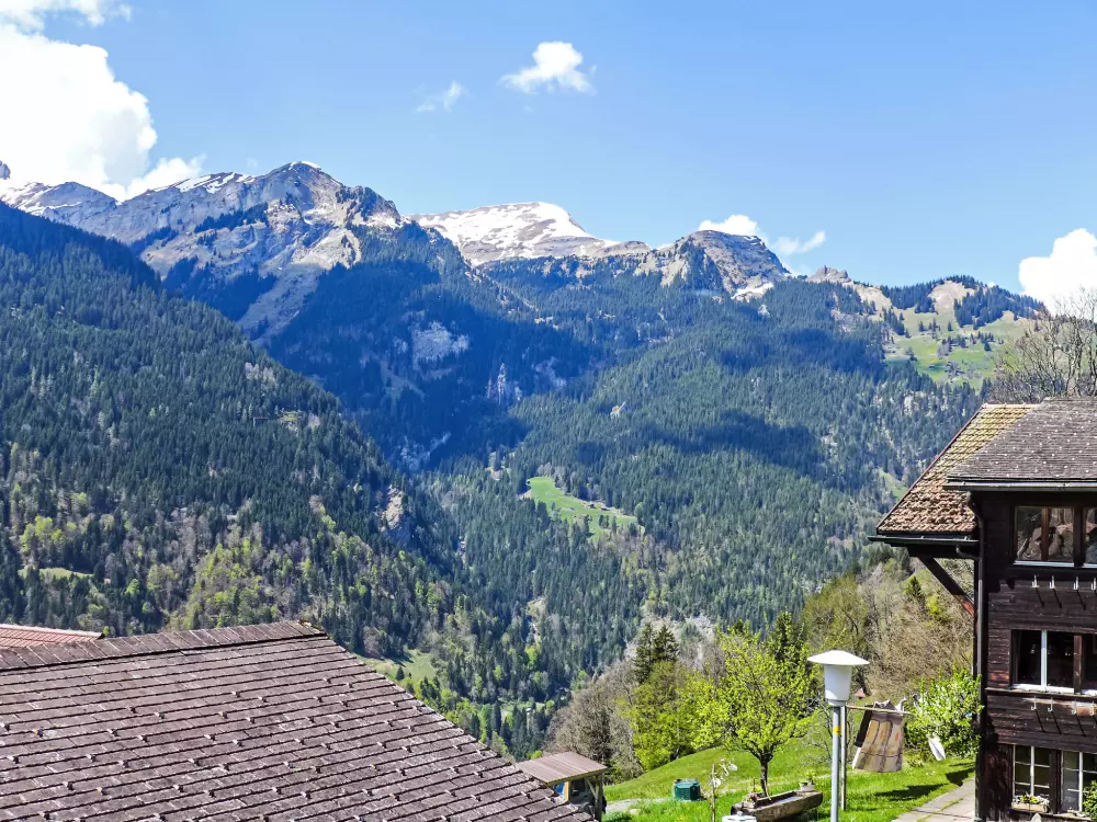 Résidence Rose Studio Y