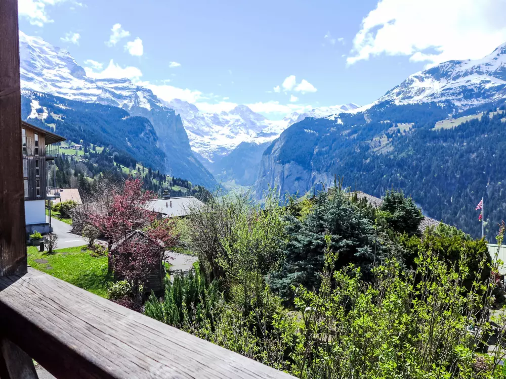 Résidence Rose Studio Y