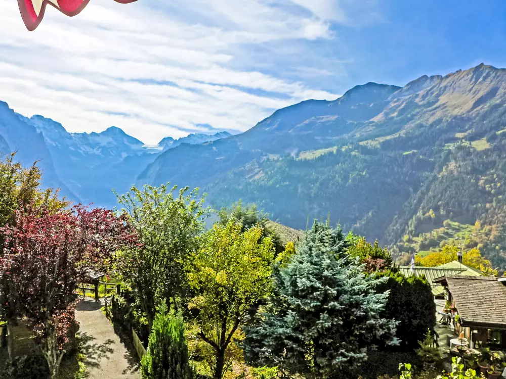 Résidence Rose Studio Y