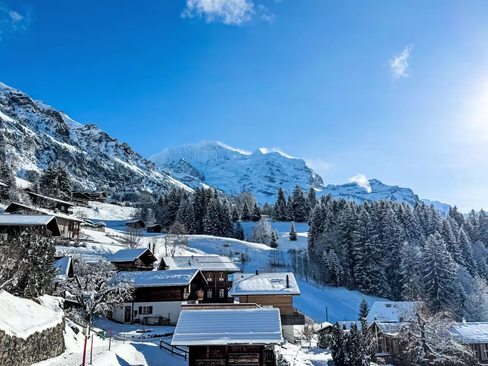 Résidence Schweizerhof Apt. S