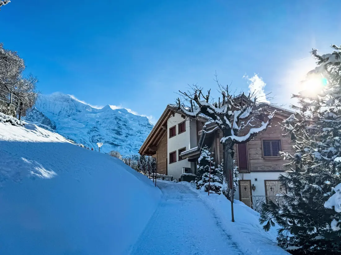 Résidence Silberhorn Apt. DW