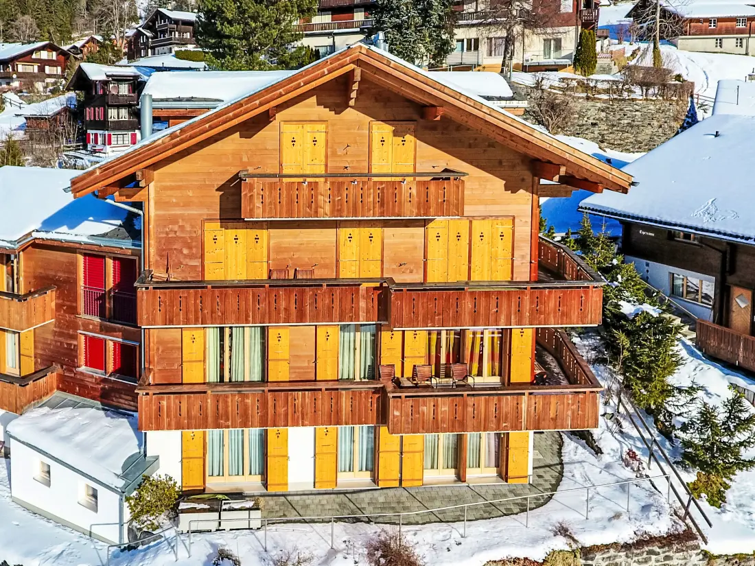 Résidence Silberhorn Apt. DW