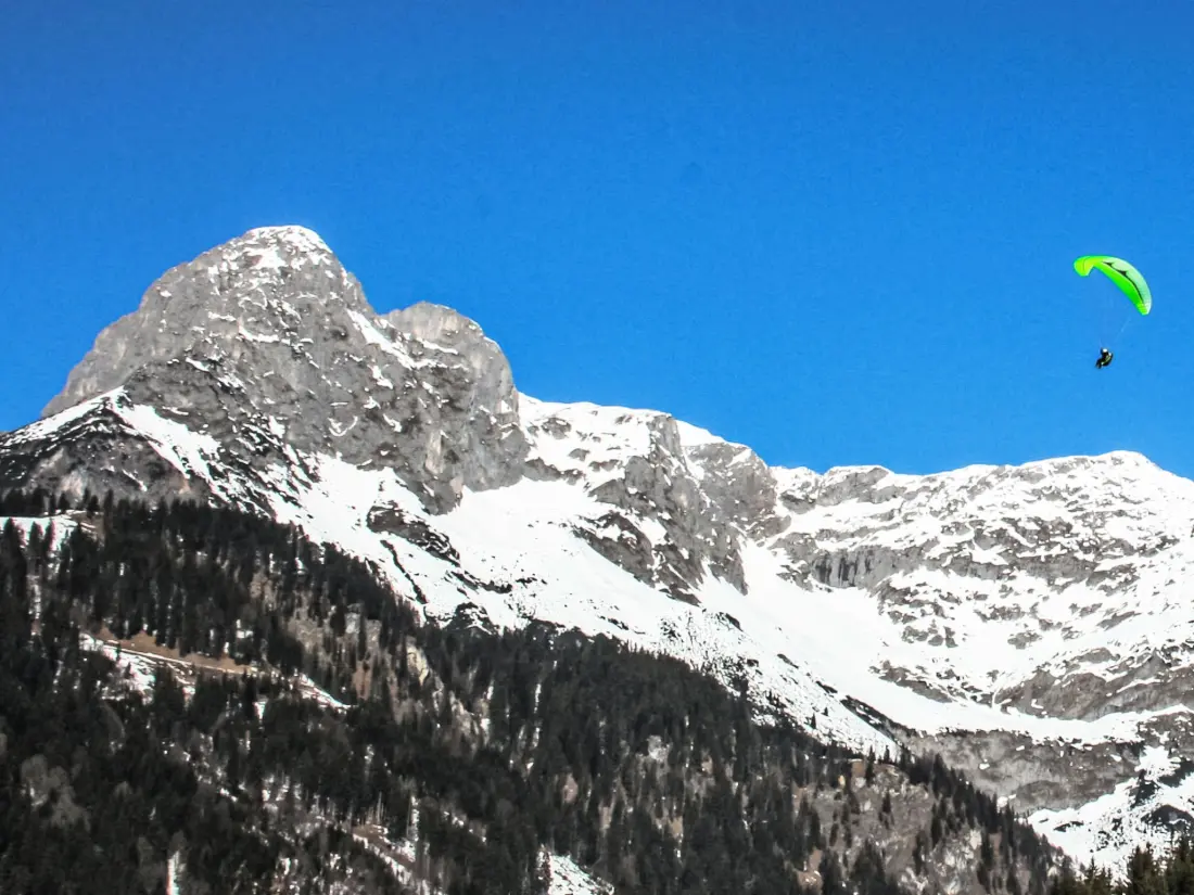 Résidence Edelweiss