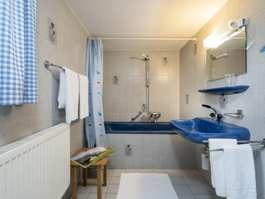Maison de Vacances Wildhaus