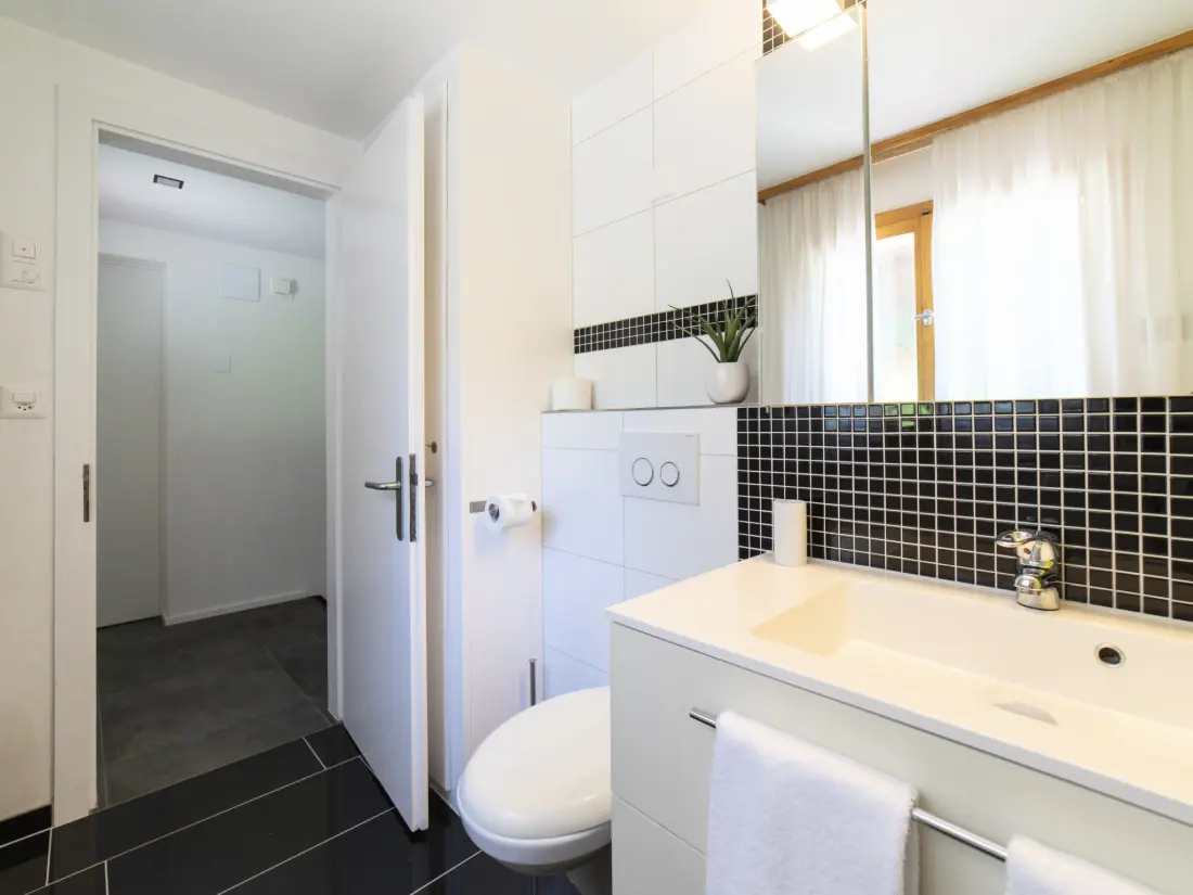 Maison de Vacances Wildhaus