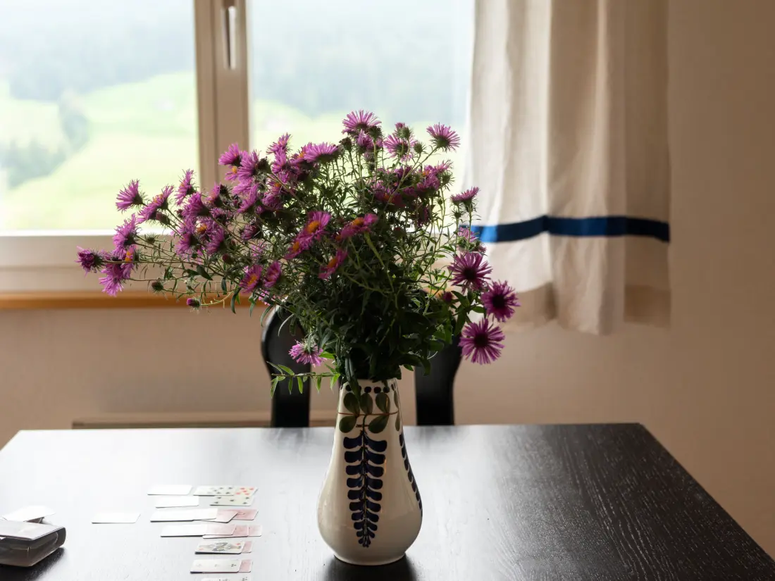 Maison de Vacances Wildhaus