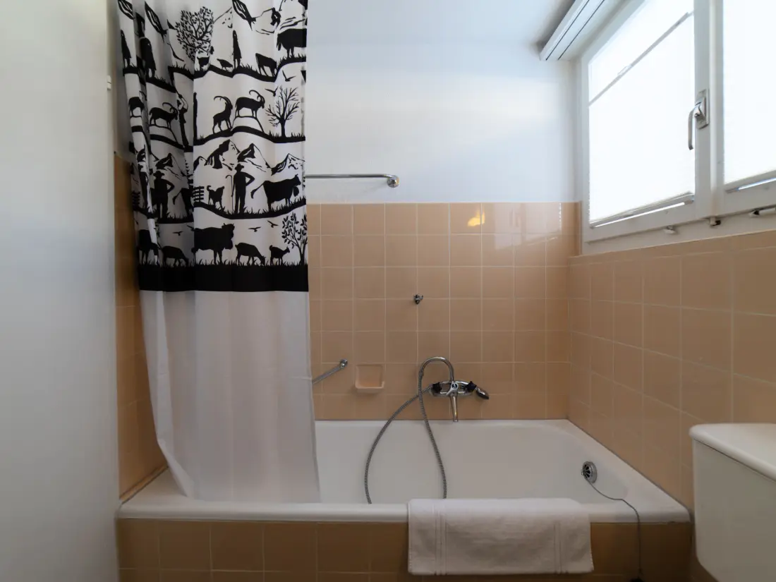 Maison de Vacances Wildhaus