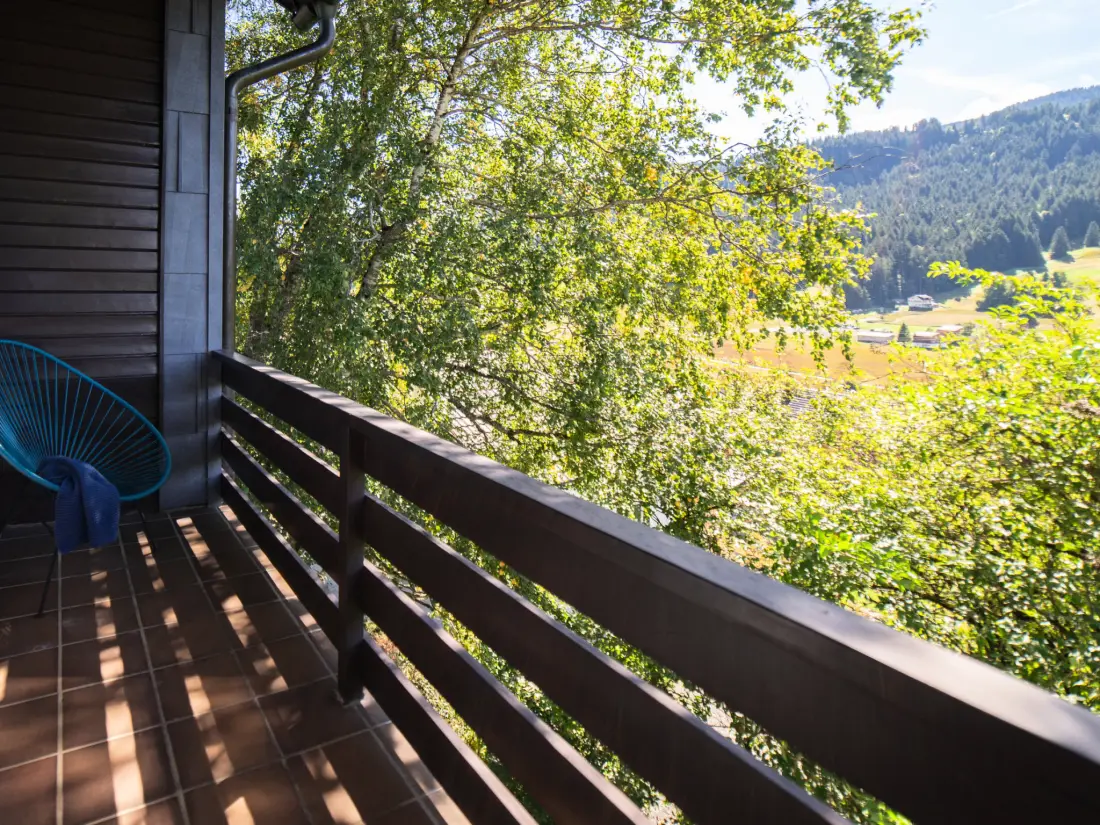 Maison de Vacances Wildhaus