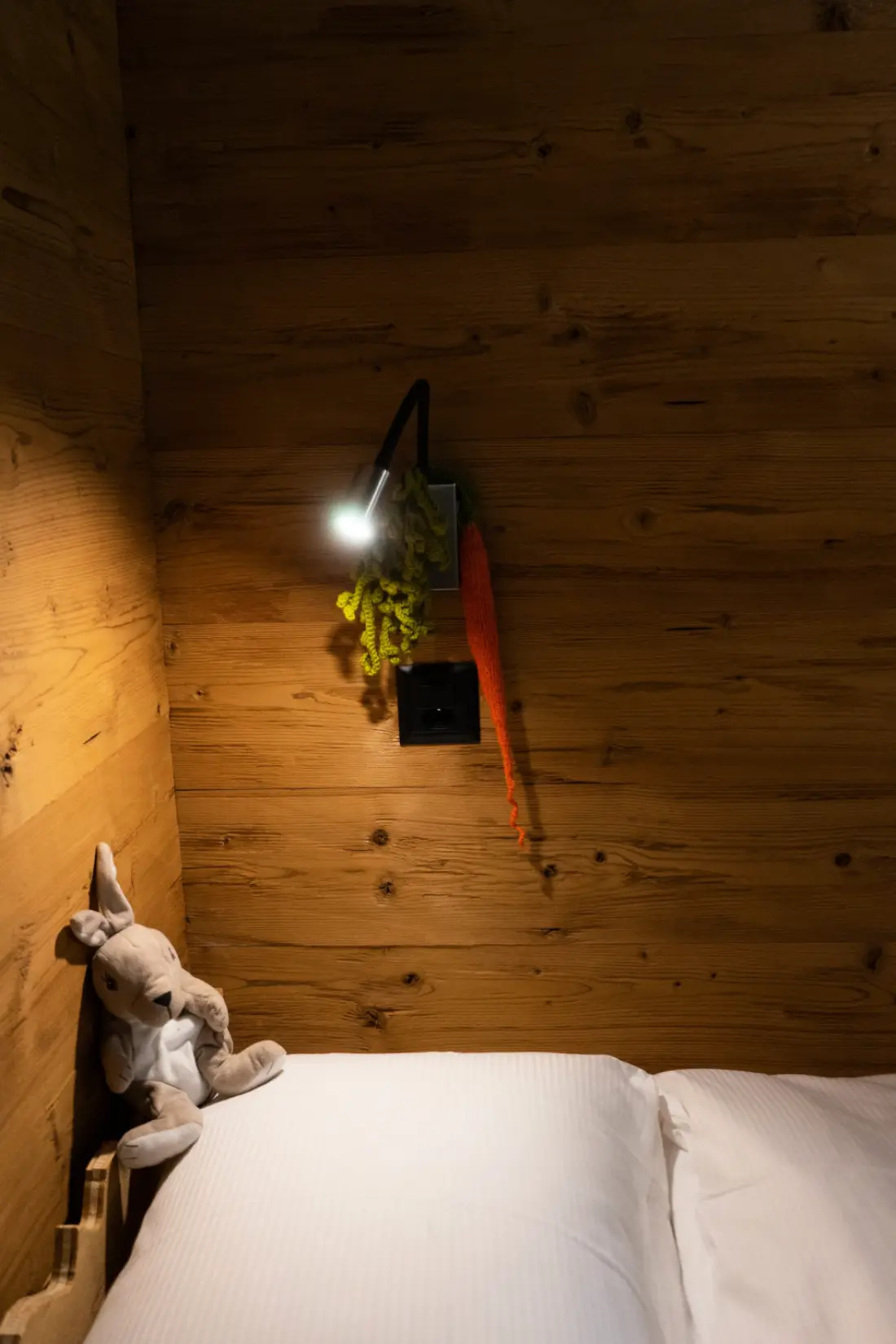Maison de Vacances Wildhaus