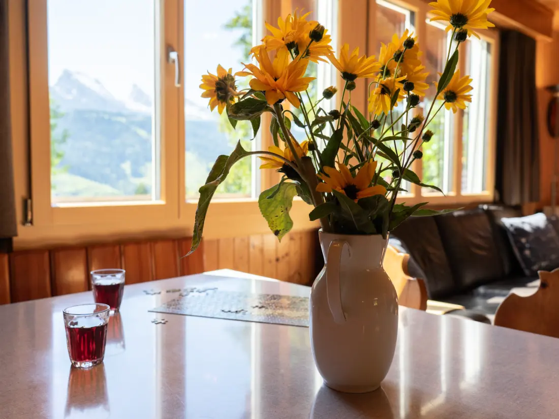 Maison de Vacances Wildhaus