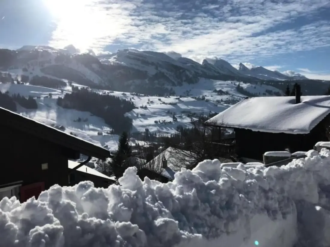 Maison de Vacances Wildhaus