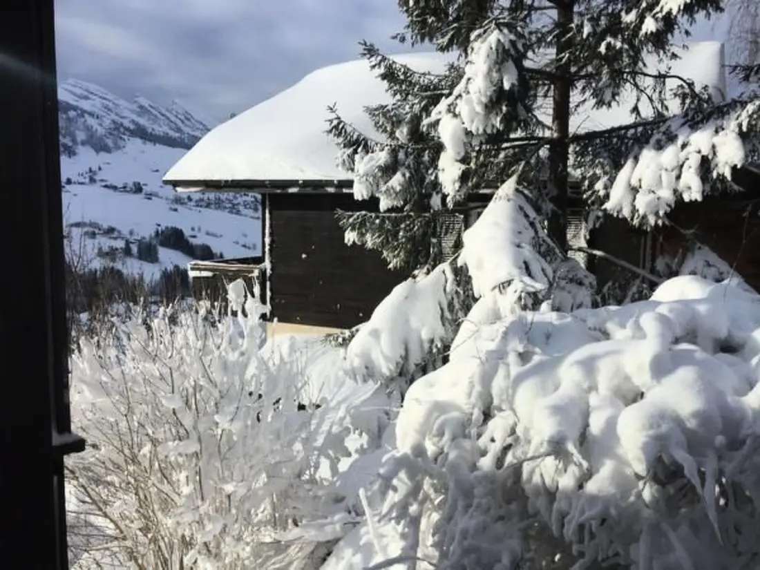 Maison de Vacances Wildhaus