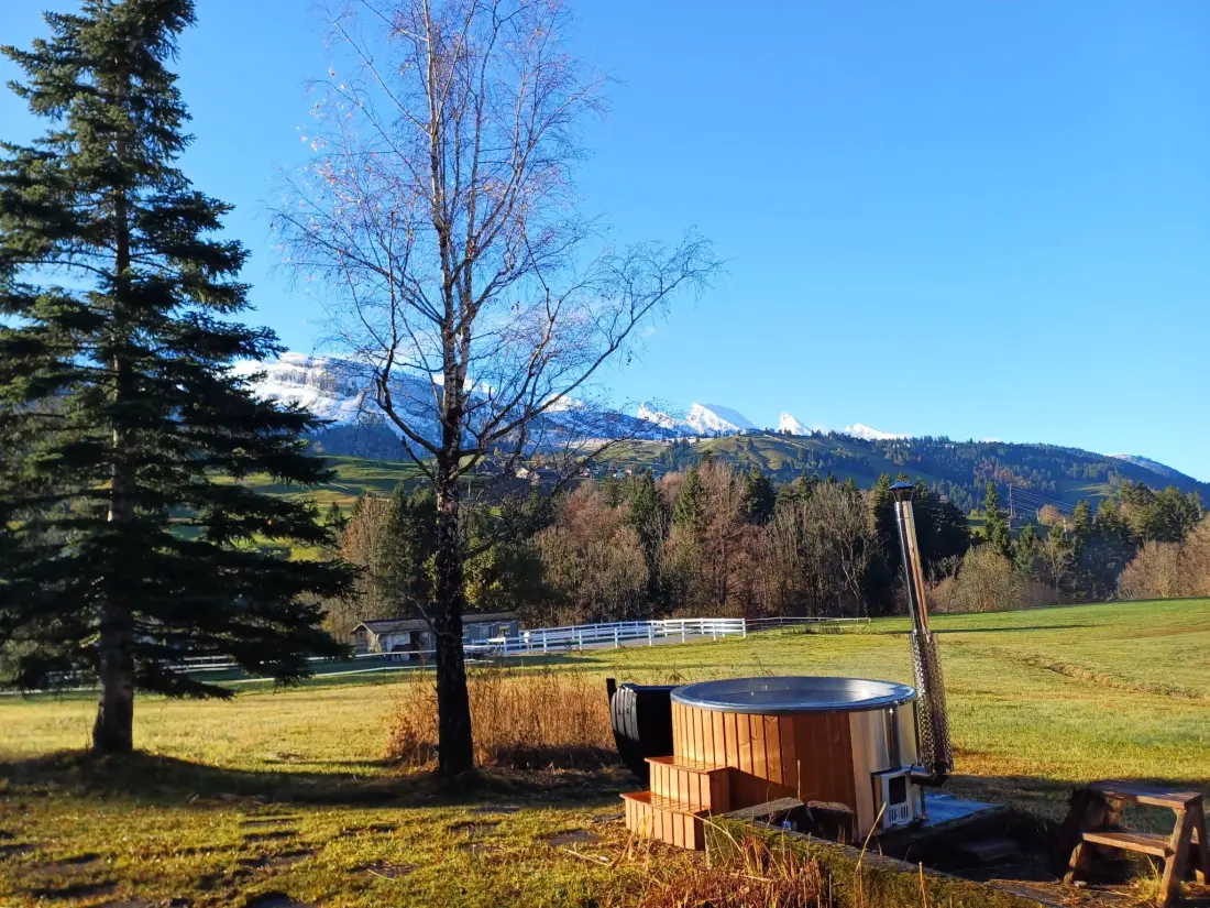 Maison de Vacances Wildhaus