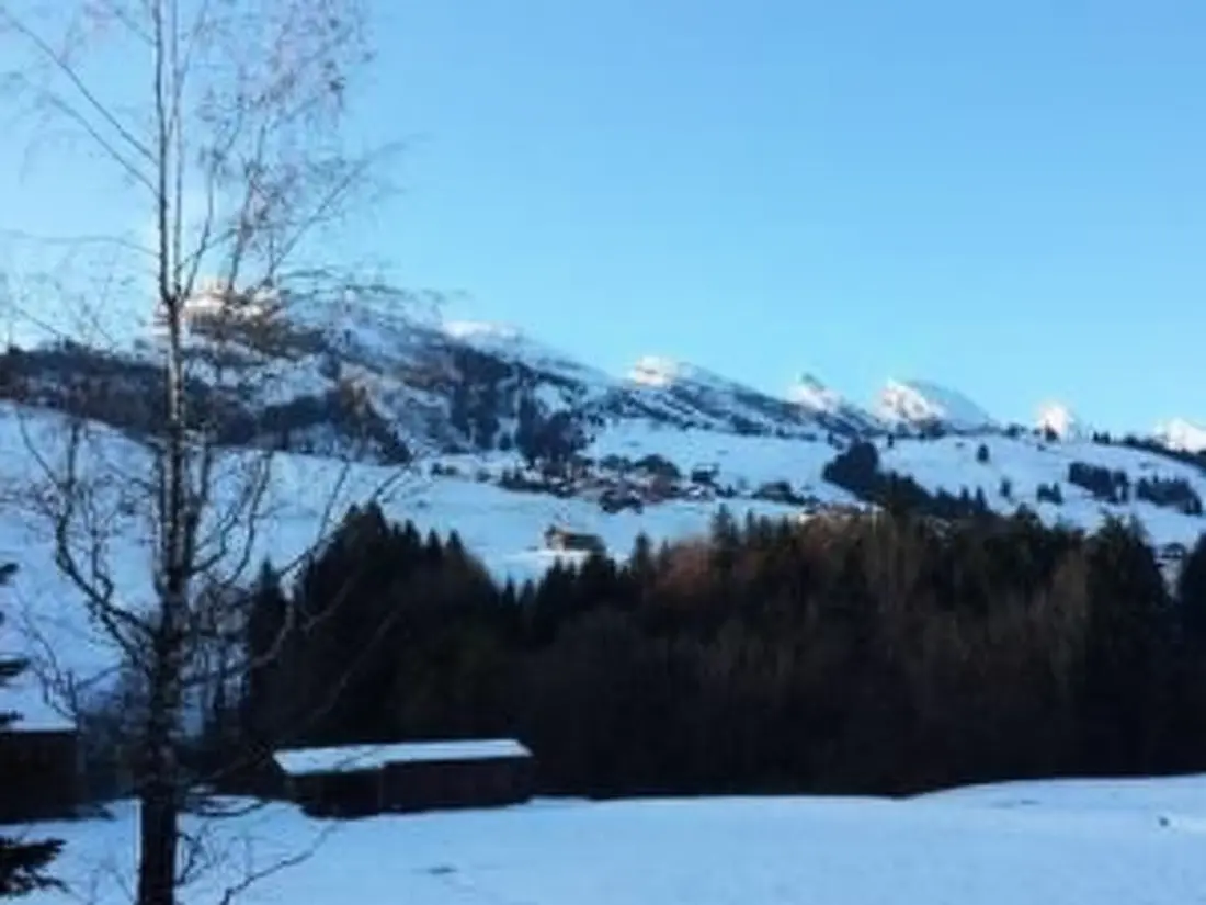 Maison de Vacances Wildhaus