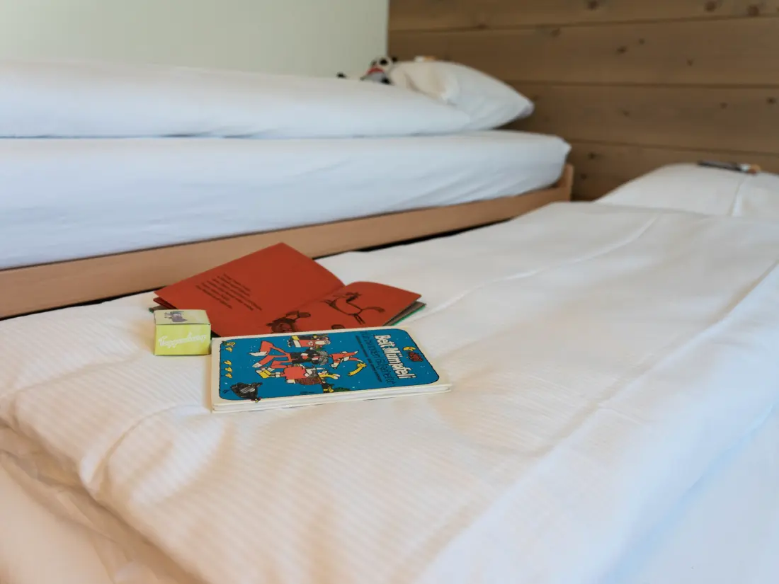 Maison de Vacances Wildhaus