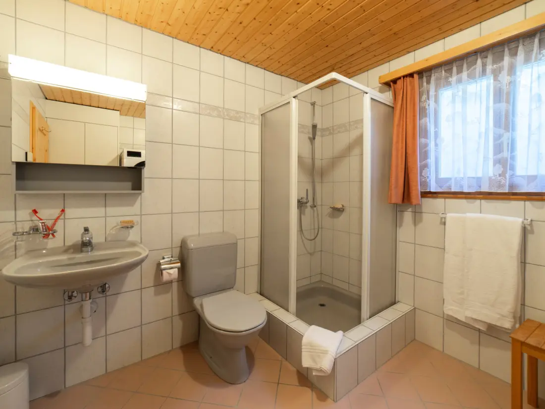 Maison de Vacances Wildhaus