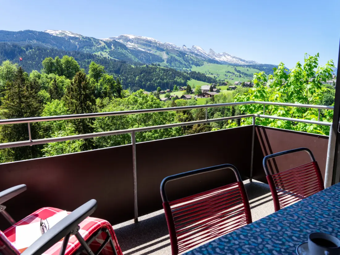 Maison de Vacances Wildhaus