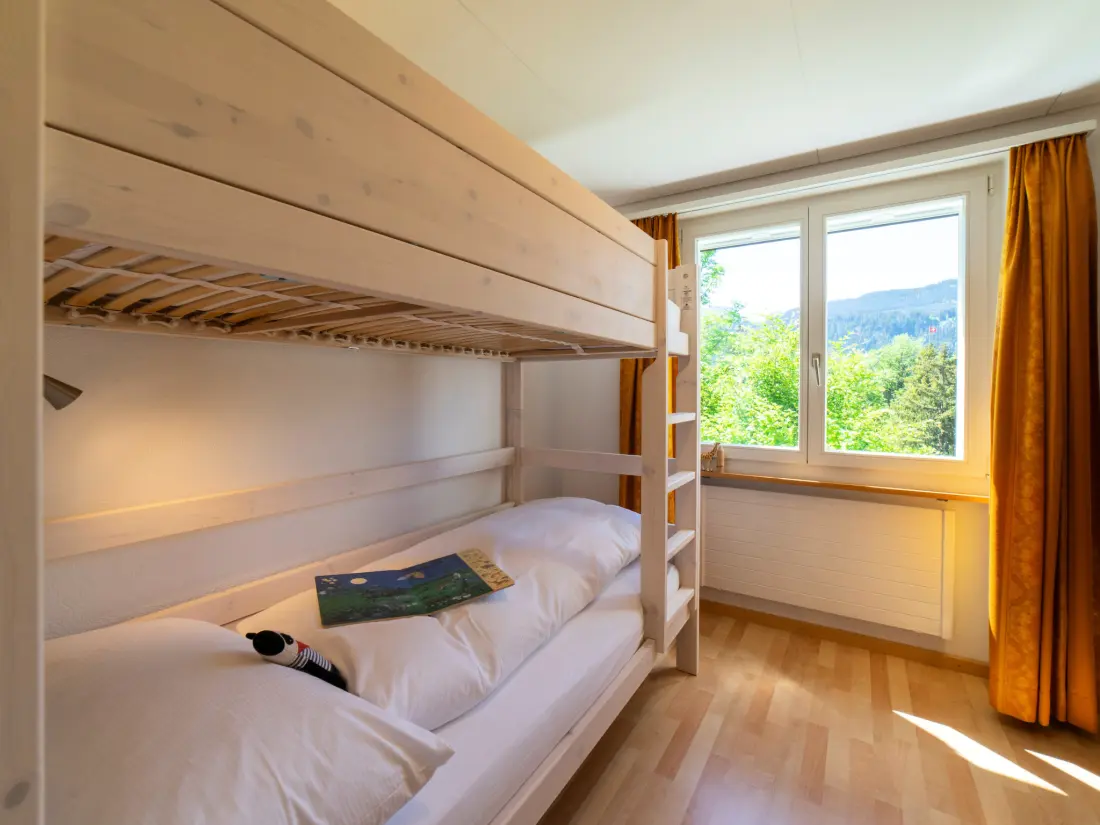 Maison de Vacances Wildhaus