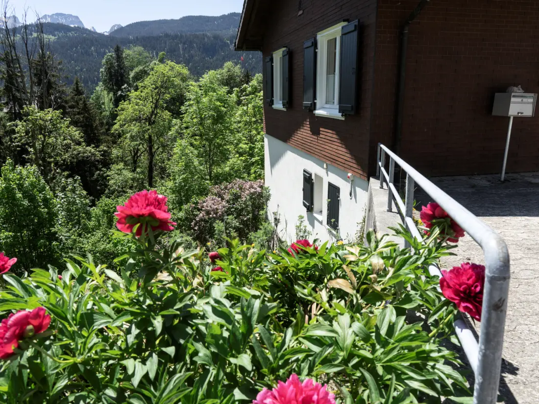 Maison de Vacances Wildhaus