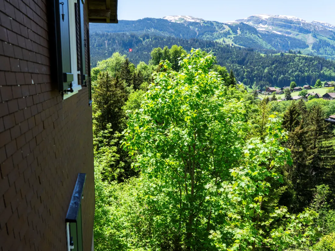 Maison de Vacances Wildhaus