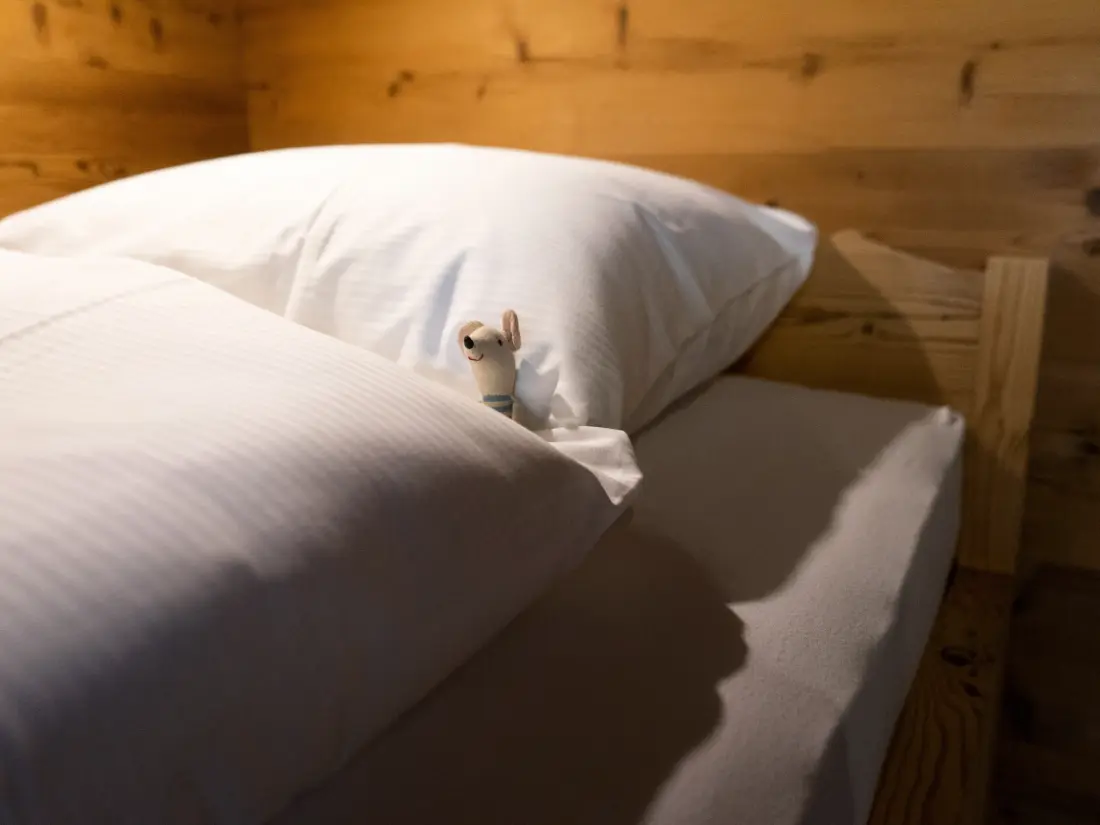 Maison de Vacances Wildhaus