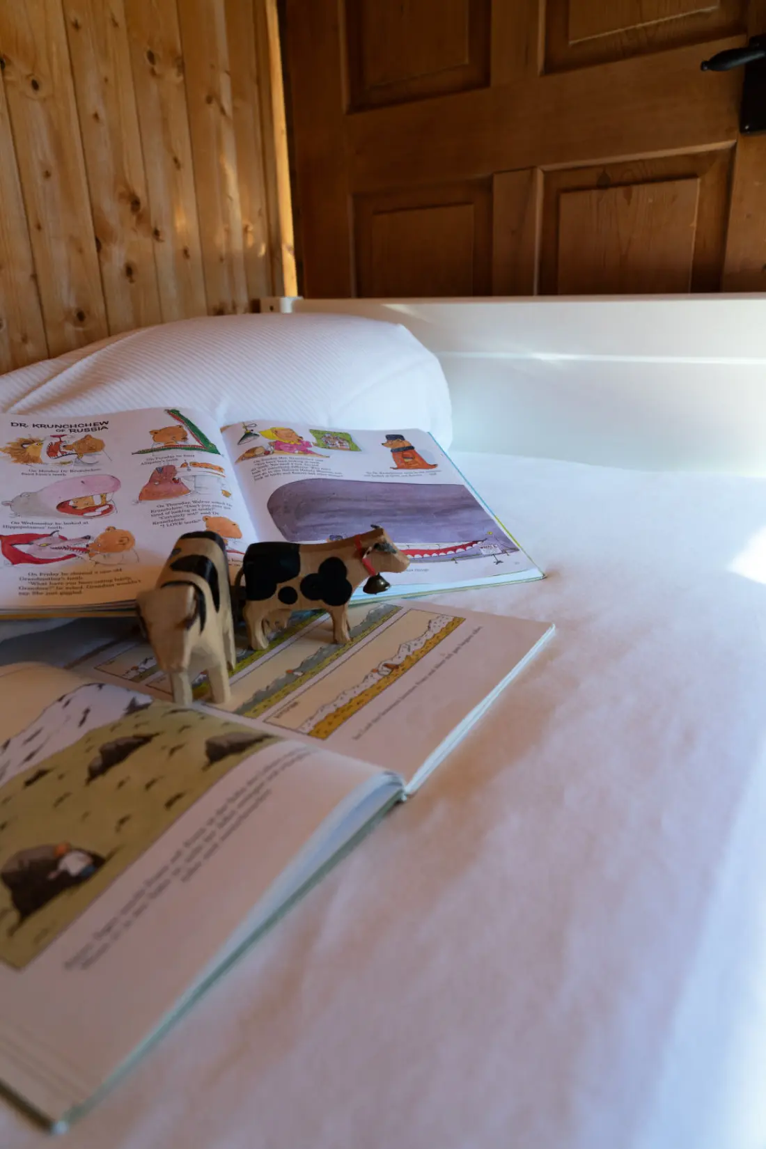 Maison de Vacances Wildhaus