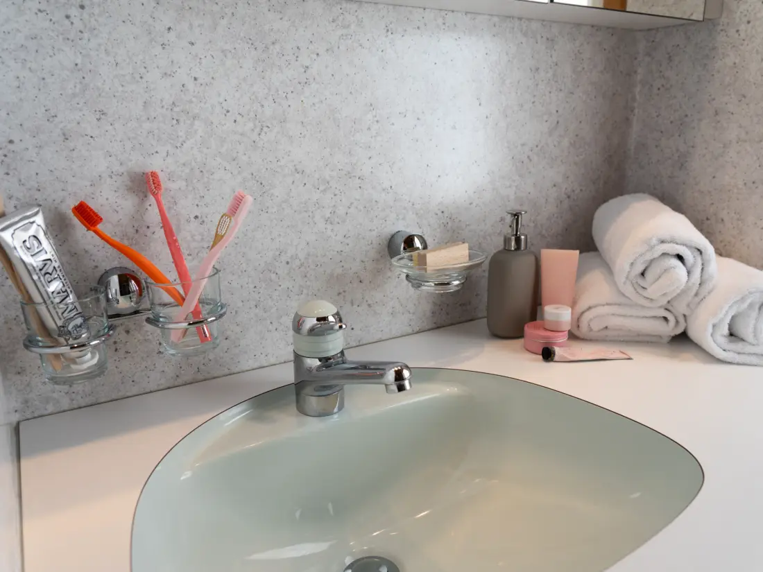 Maison de Vacances Wildhaus