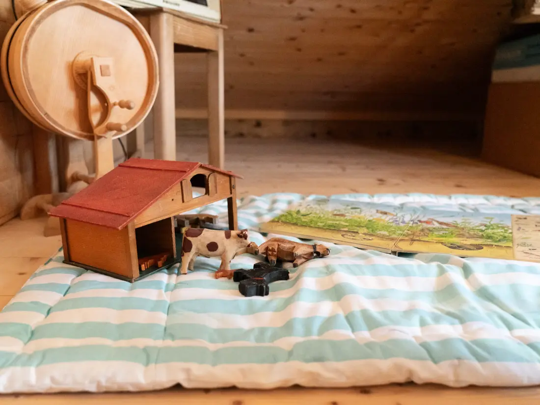 Maison de Vacances Wildhaus