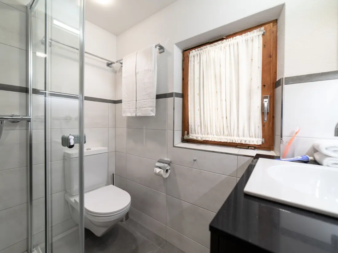 Maison de Vacances Wildhaus