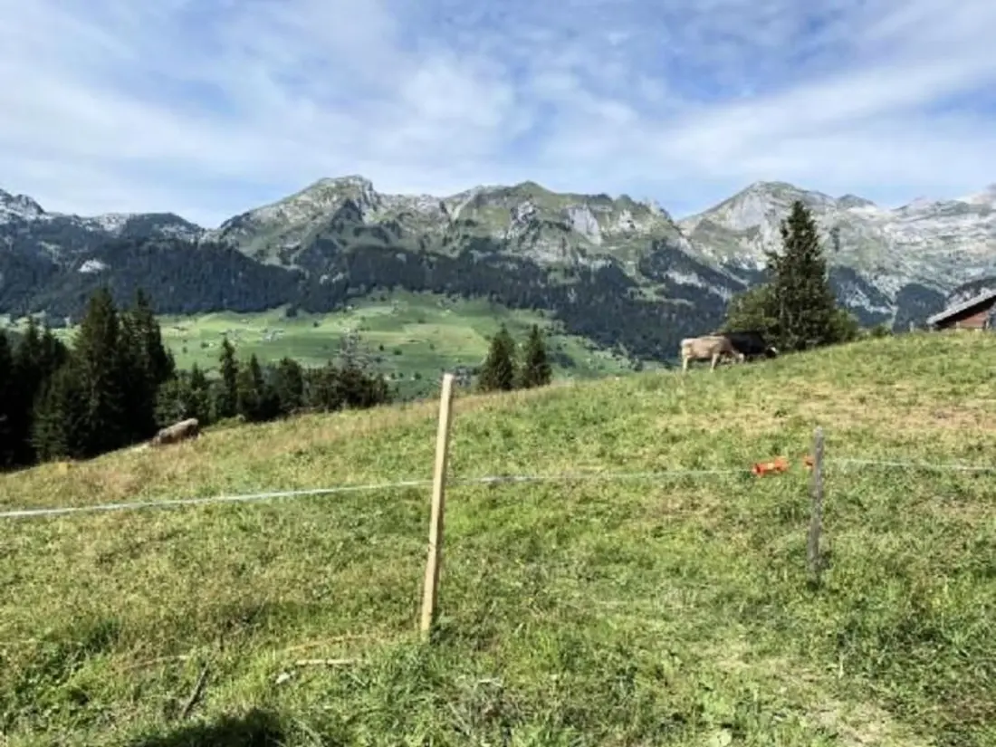 Maison de Vacances Wildhaus