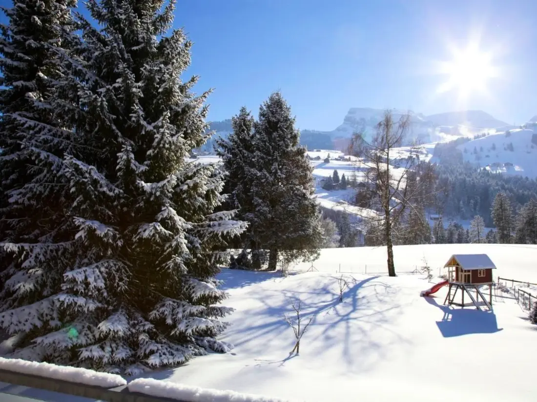 Maison de Vacances Wildhaus