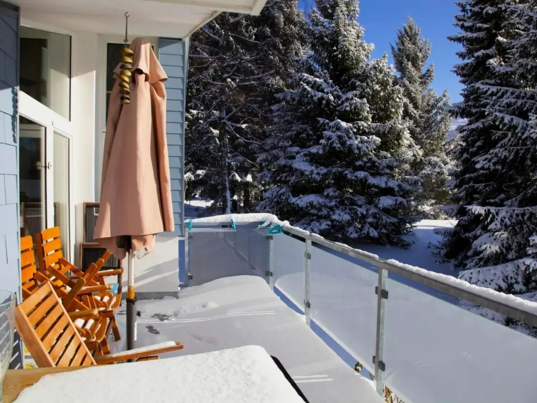 Maison de Vacances Wildhaus