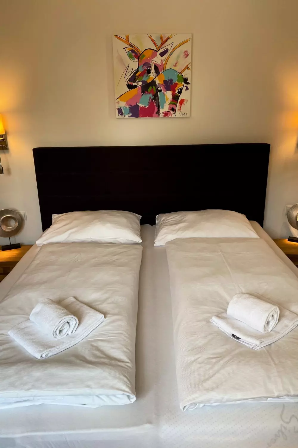 Résidence 4_ZELL - FöhrenNest Zell am See