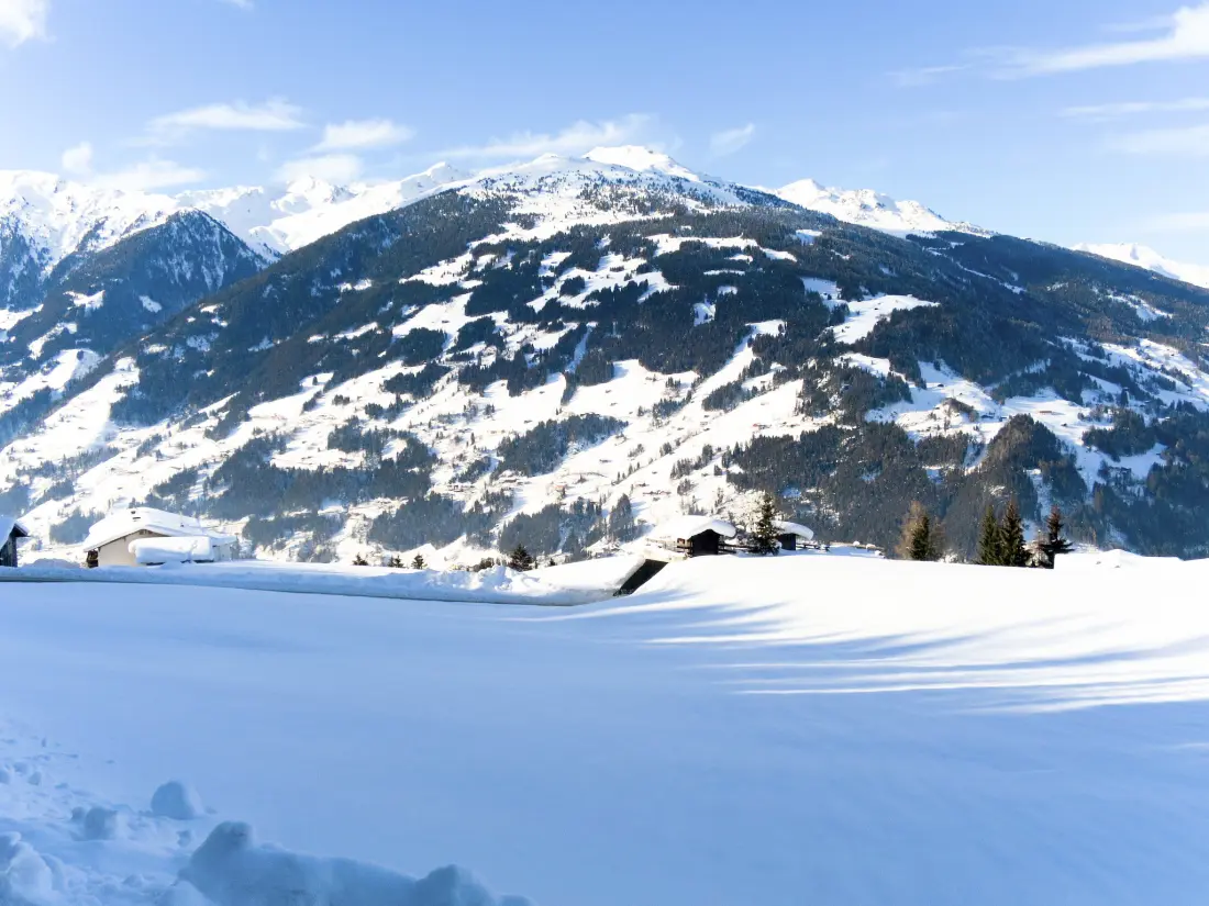 Résidence Alpenblick