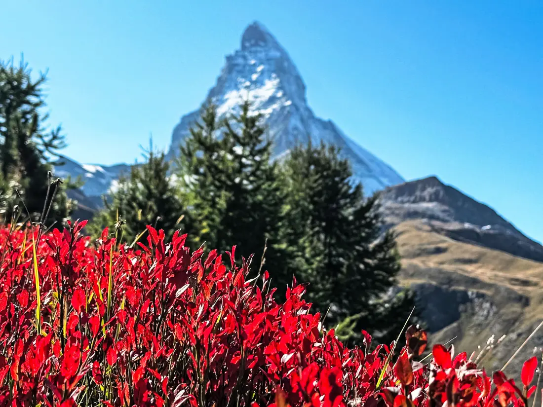 Résidence Matterhorn