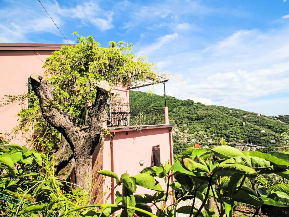 Maison de Vacances Zoagli