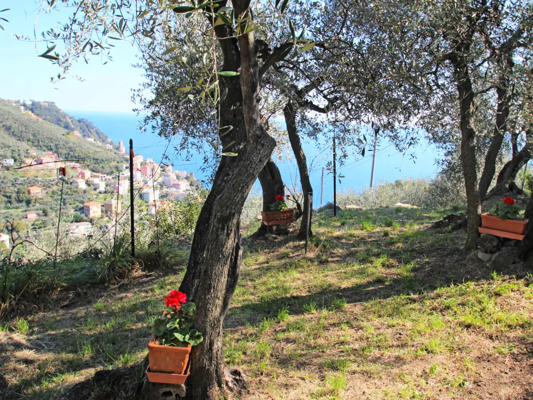 Maison de Vacances Zoagli