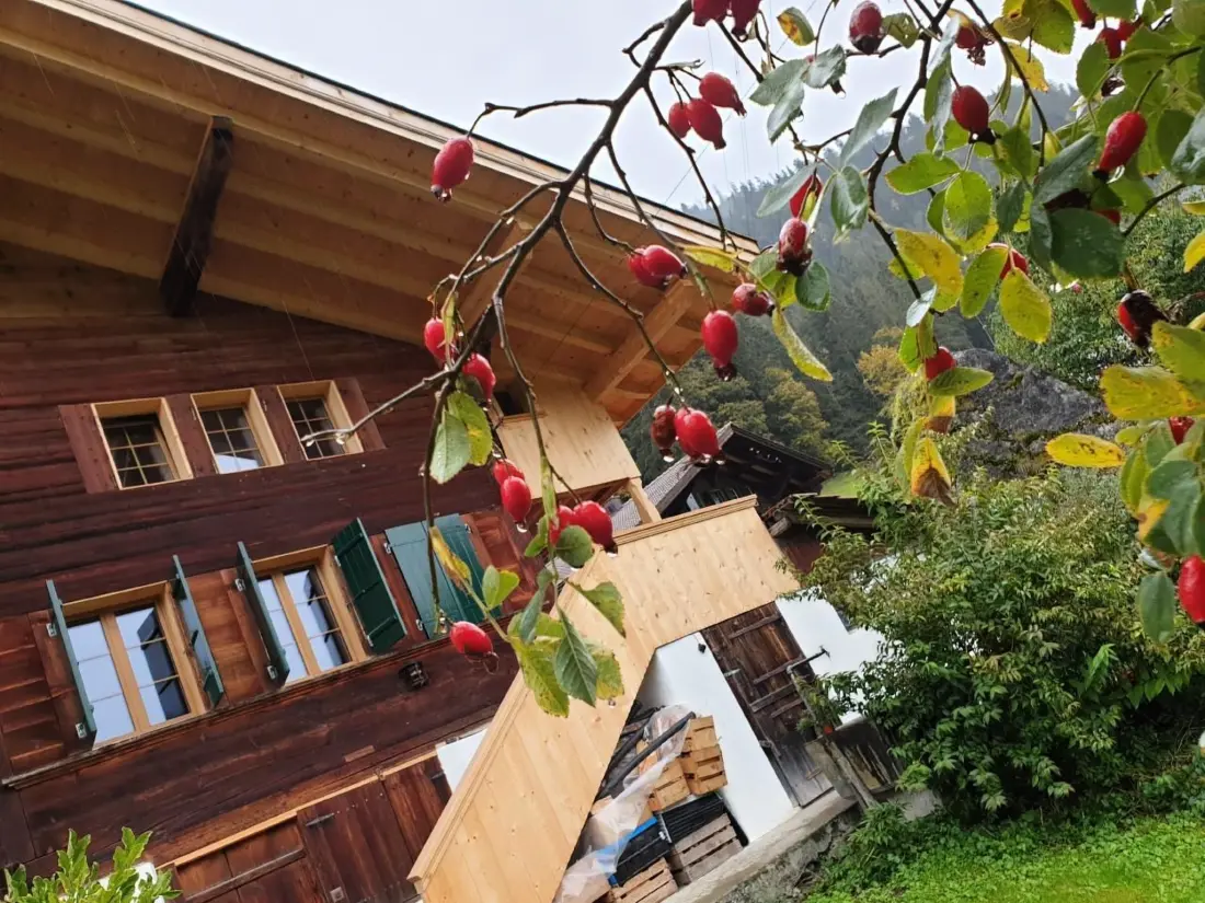 Maison de Vacances Zweisimmen