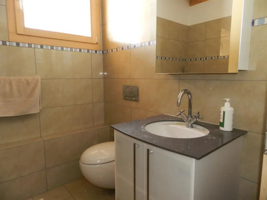 Résidence Gletscherblick, Chalet Appartement/Fewo, Dusche oder Bad, WC 10-Bettwohnung