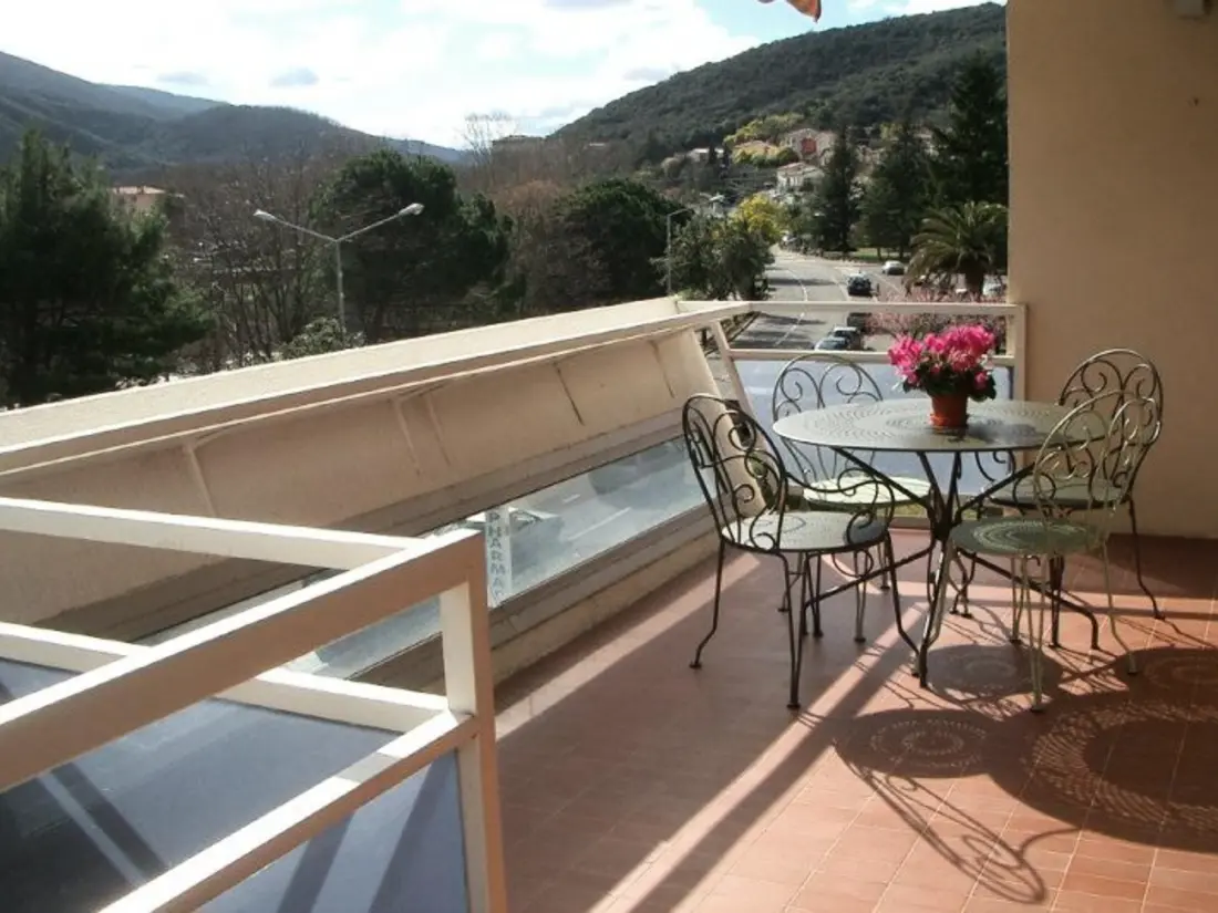 Location de Vacances Amélie-les-Bains-Palalda 98