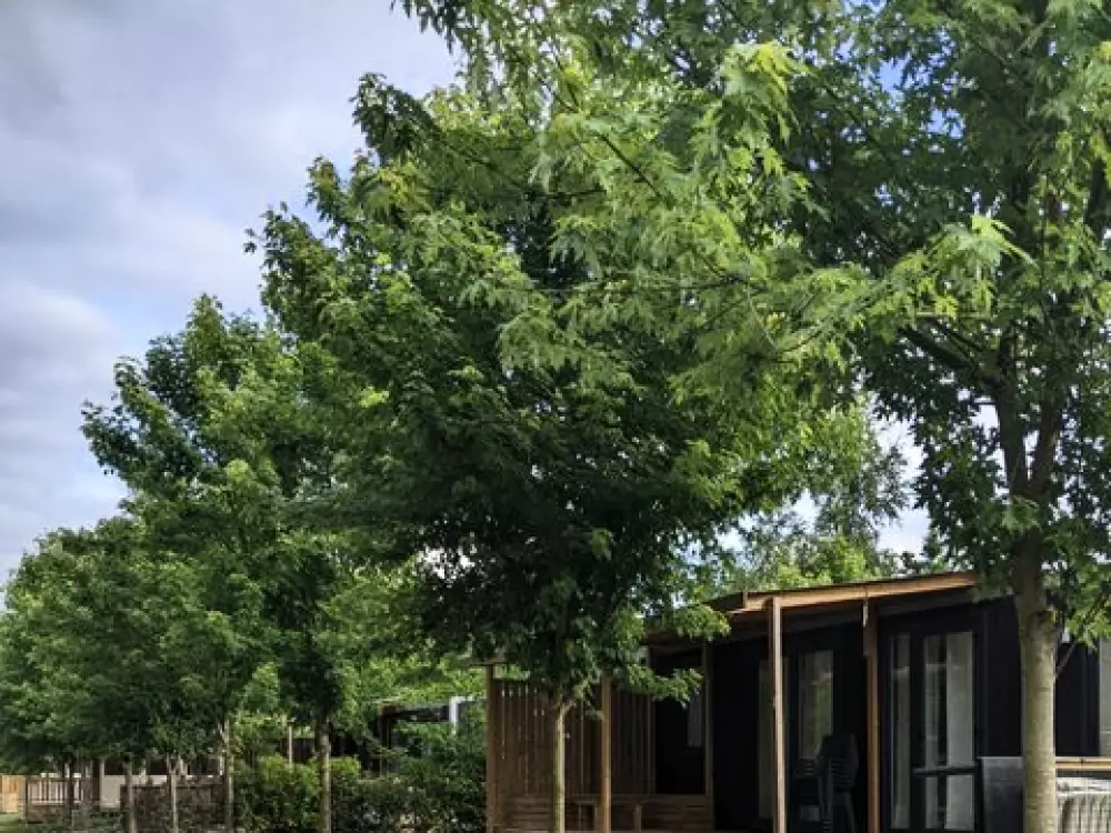 Camping Campilo 4 étoiles★★★★