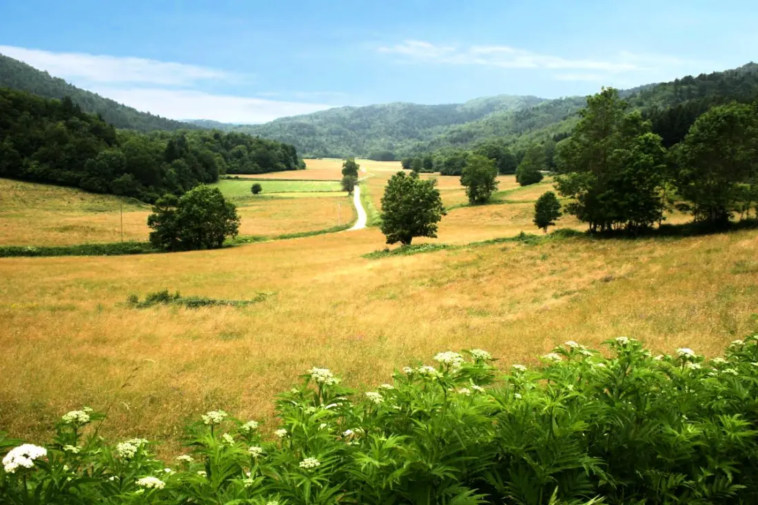 Gîte de France à Belvis  1