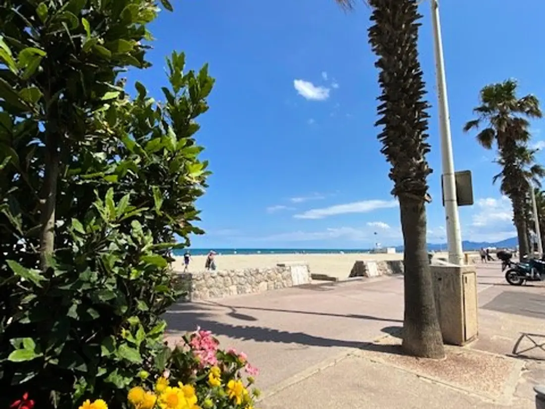 Location de Vacances Canet-en-Roussillon 108